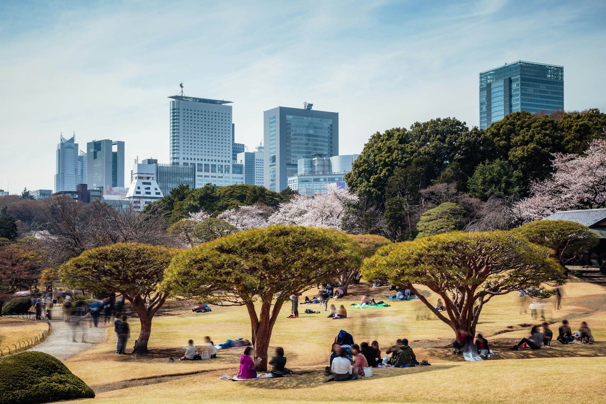 14 of the best things to do in Tokyo - Lonely Planet