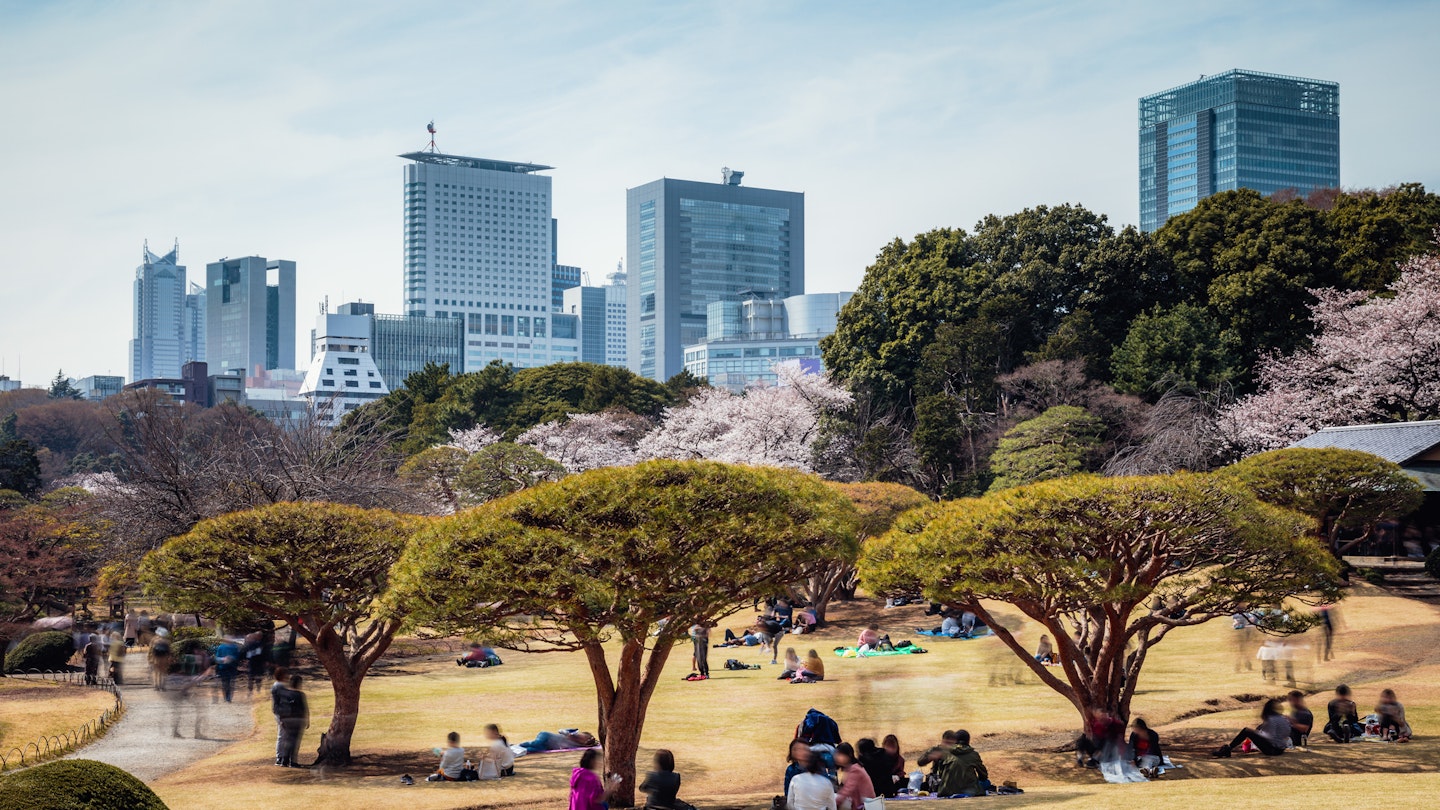 Ueno park in springtime during cherry blossom season, Tokyo, Japan
1057741236