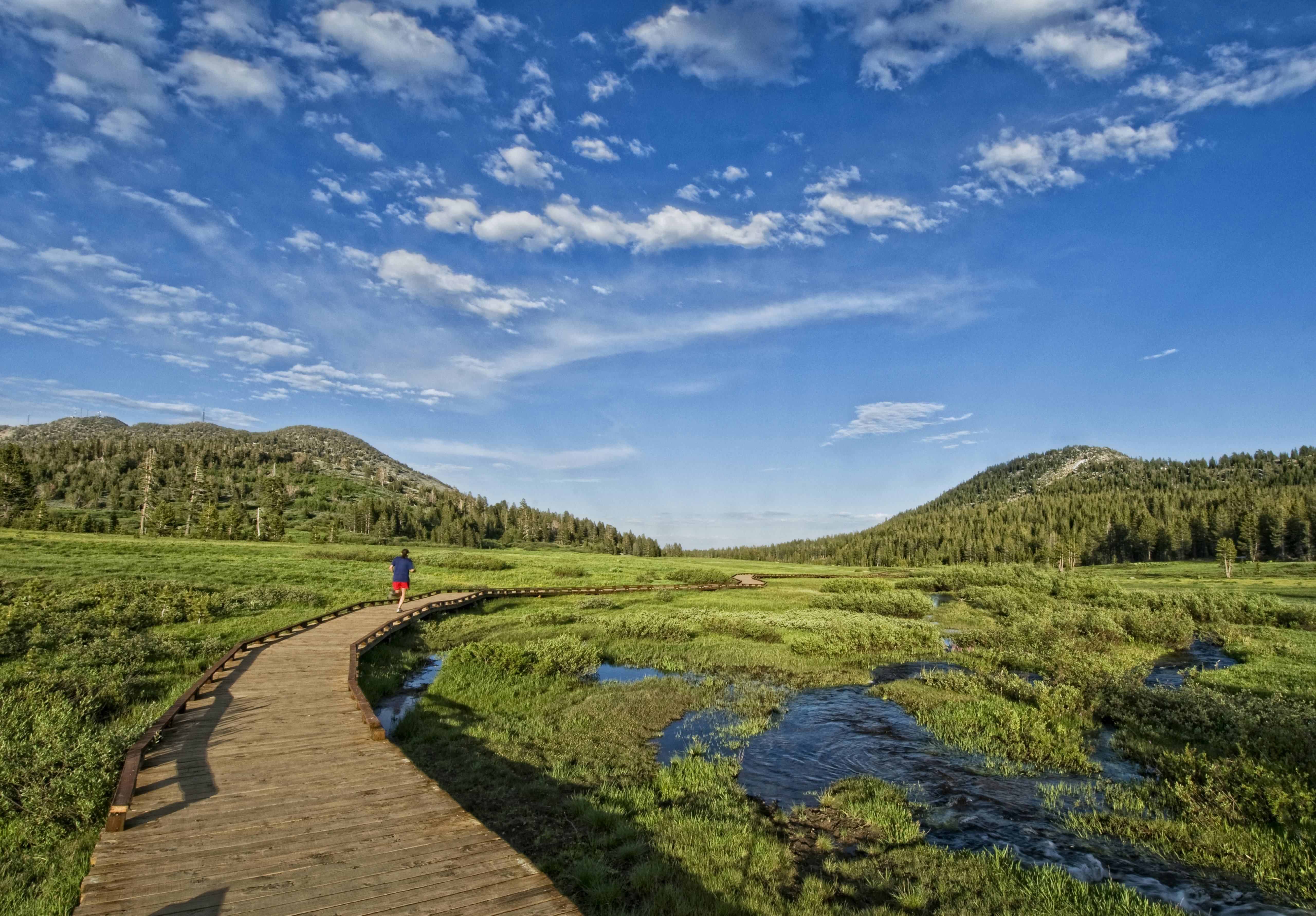 Keri Oberly follows the wooden path leading to the trail, while out for her evening exercise in Lake Tahoe, Nevada.
106795402
boardwalk, cloud, color image, copy space, day, exercising, footpath, full length, healthy lifestyle, horizontal, incline village, lake tahoe, landscape, leisure activity, motion, nevada, on the move, one person, outdoors, photography, rear view, running, scenics, selective focus, swamp, travel, travel destinations, usa, unrecognizable person, vitality, water
Tahoe Meadows Ophir Creek Trailhead