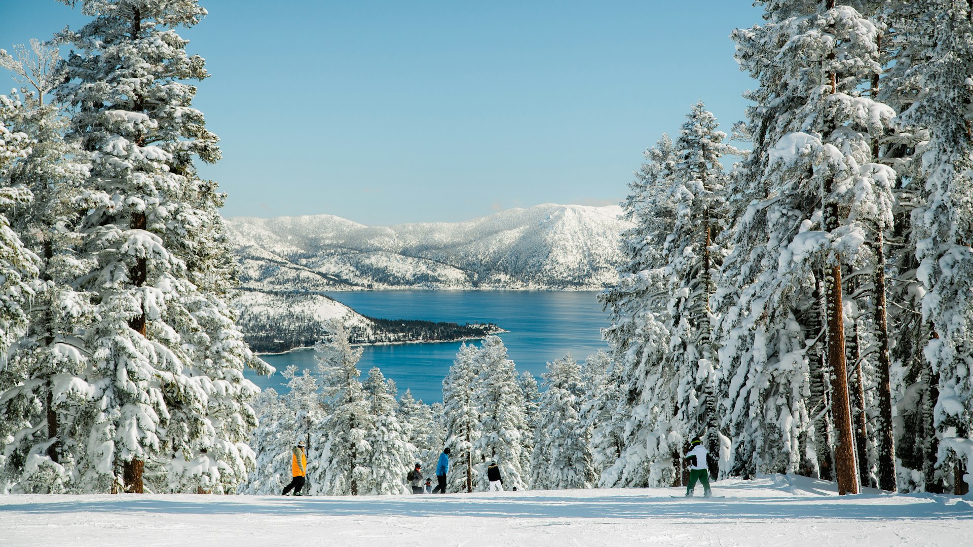 People skiing on top of a mountain with view of Lake Tahoe on a snowy winter day, with trees fully cover by fresh snow