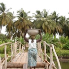ouidah, benin
115890820
Africa, African Culture, African Descent, Traditional Culture, West, ouidah, Benin, Village, Nature, Candid, Green, Water, Lagoon, Carrying, Rear View, Coconut, Coconut Palm Tree, Walking, Palm Tree, Bridge, Tree, Woods, Wood, Human Head, Life, Lifestyles, People, Clothing, Footpath, Single Lane Road, Community, Street, Heavy, Loading, Residential District, Motion, Heat, Weather, Bowl, Basket, Action, River, Crossing, Indigenous Culture, Ethnic