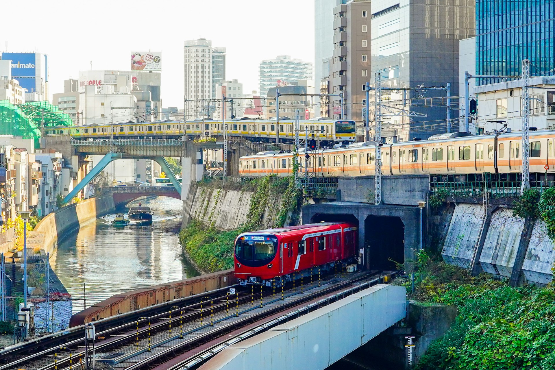 Three different trains cross bridges near each other in a city