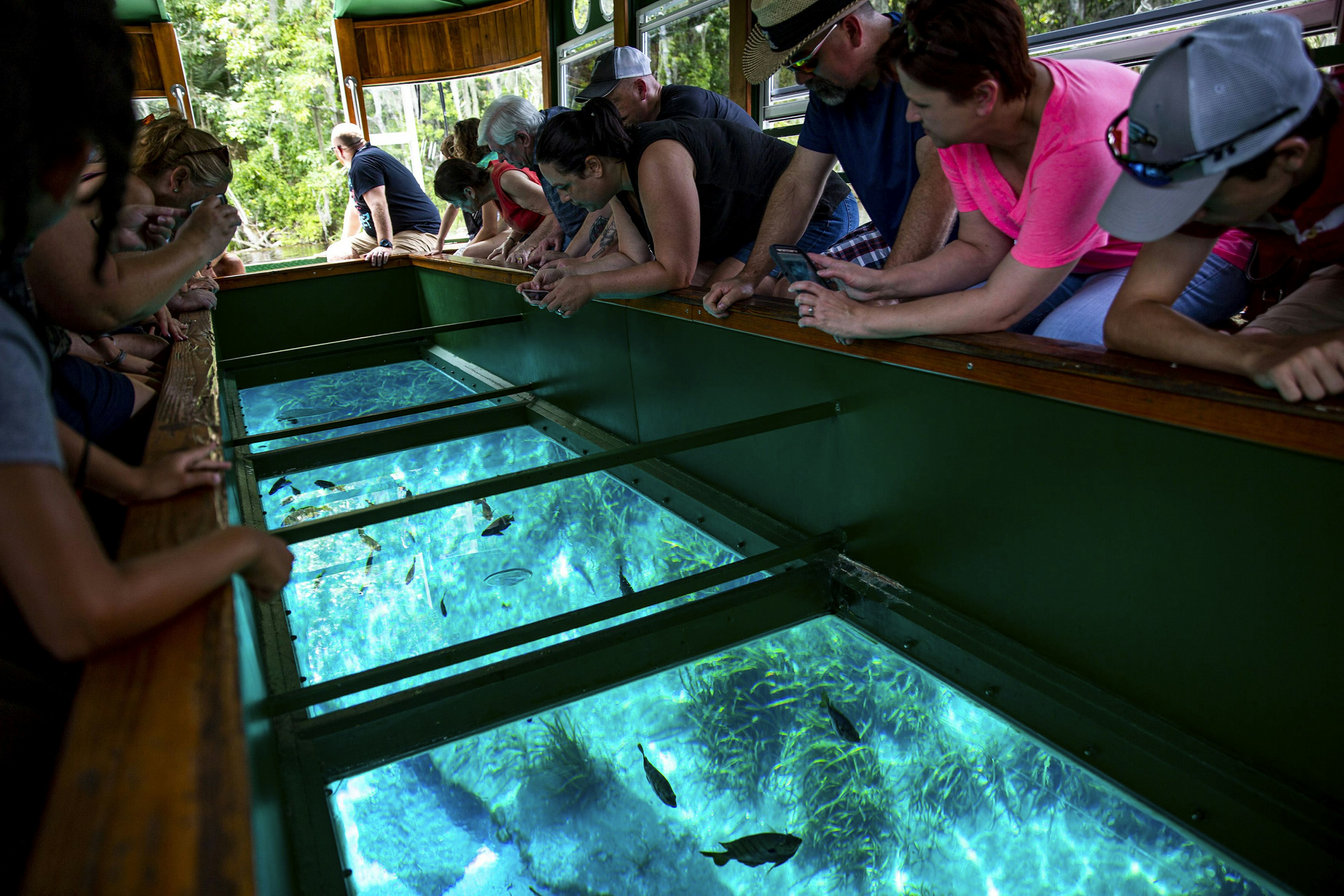 Visitors take a glass-bottom boat tour at Silver Springs State Park, Florida