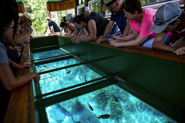 Visitors take a glass-bottom boat tour at Silver Springs State Park, Silver Springs, Florida, USA