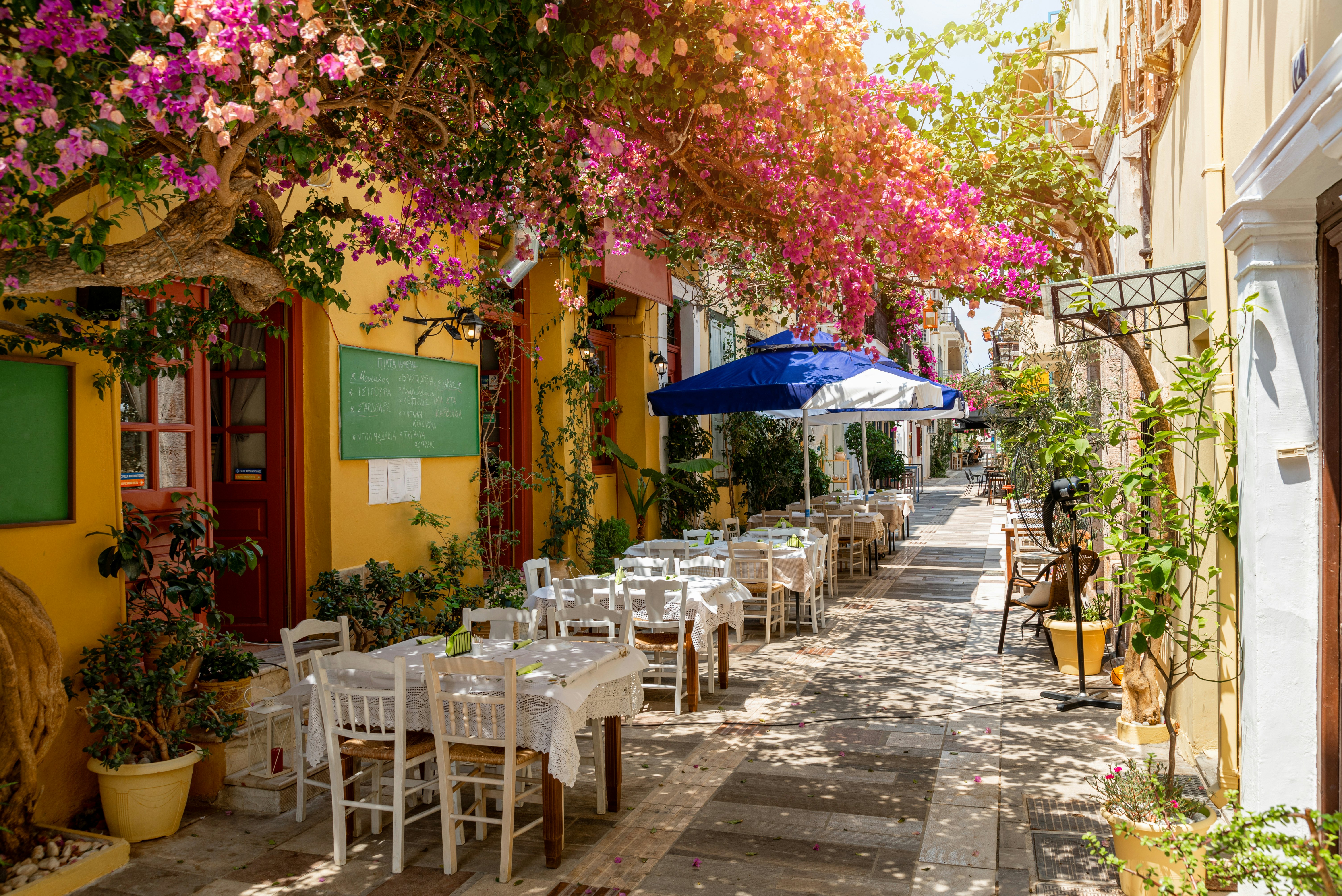 A narrow street lined with restaurants and shaded by trees in full bloom