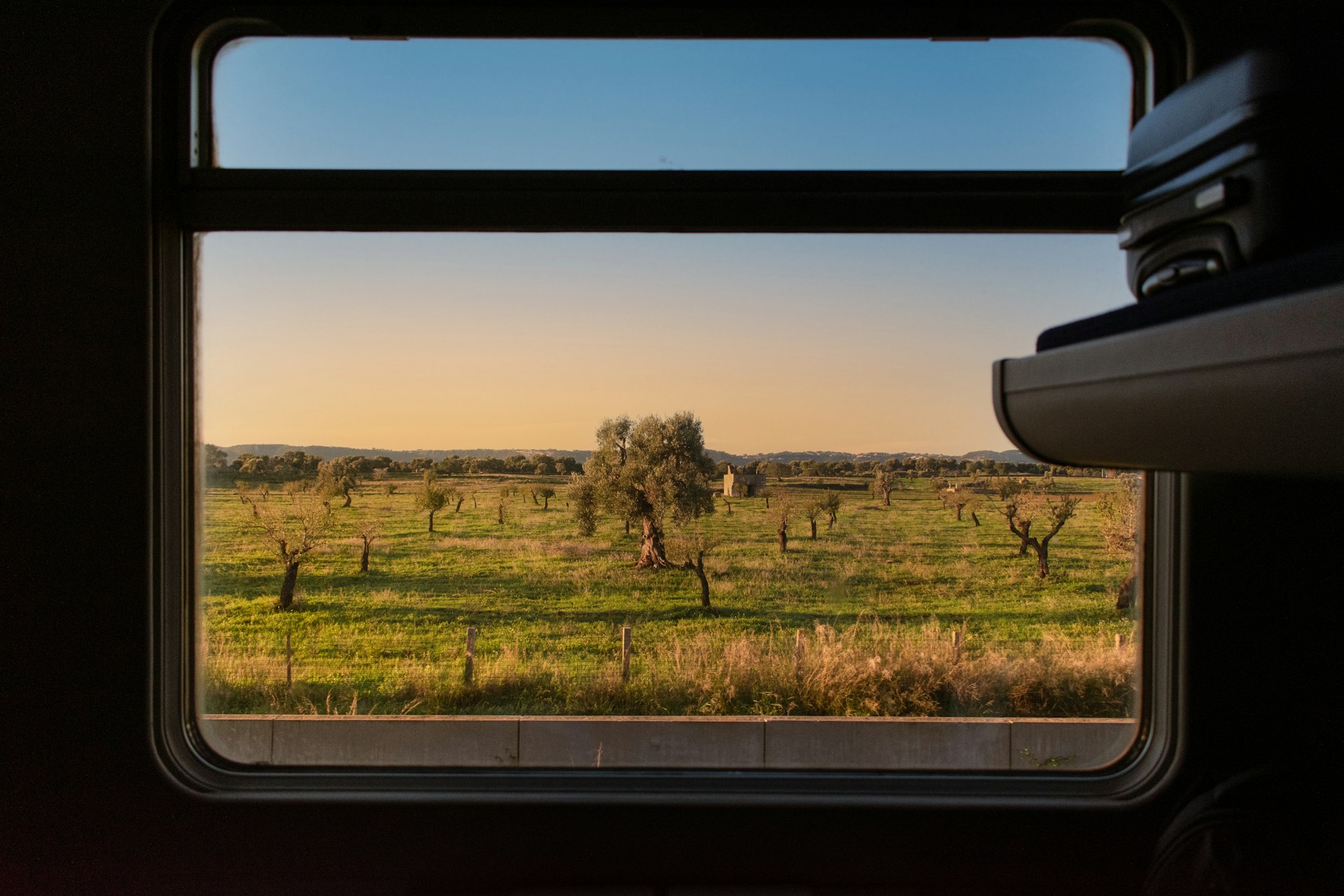 A view of olive groves through the window of train passing through Puglia, Italy