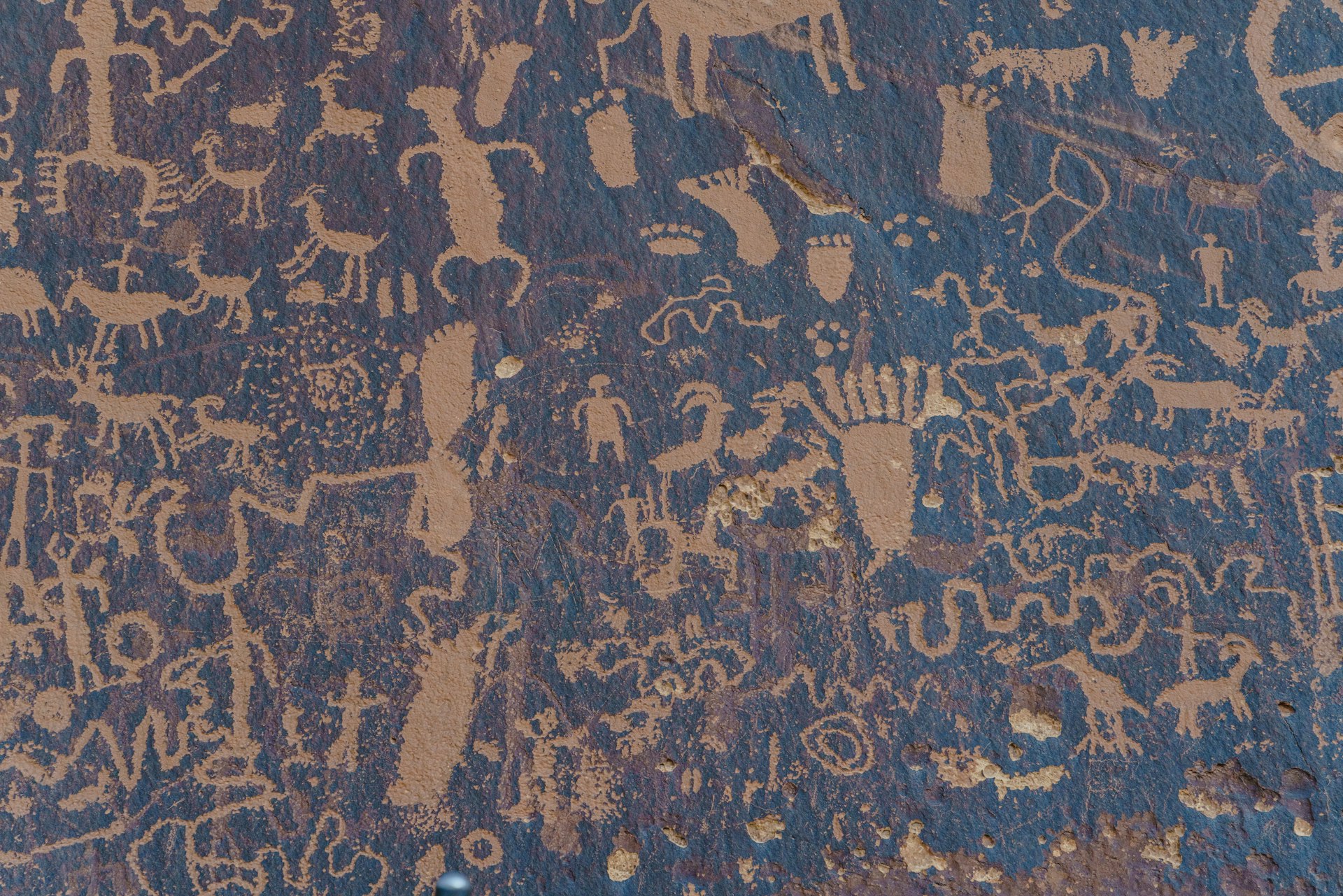 Ancient Hopi petroglyphs in Arizona, USA