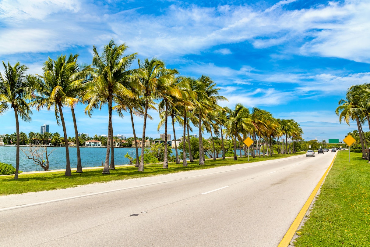easy road trips from florida