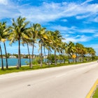 Palm trees and road in Miami Beach, Florida
1346099359
cloud
USA-Florida-Miami-bloodua-iStockGettyImagesPlus-1346099359-RF