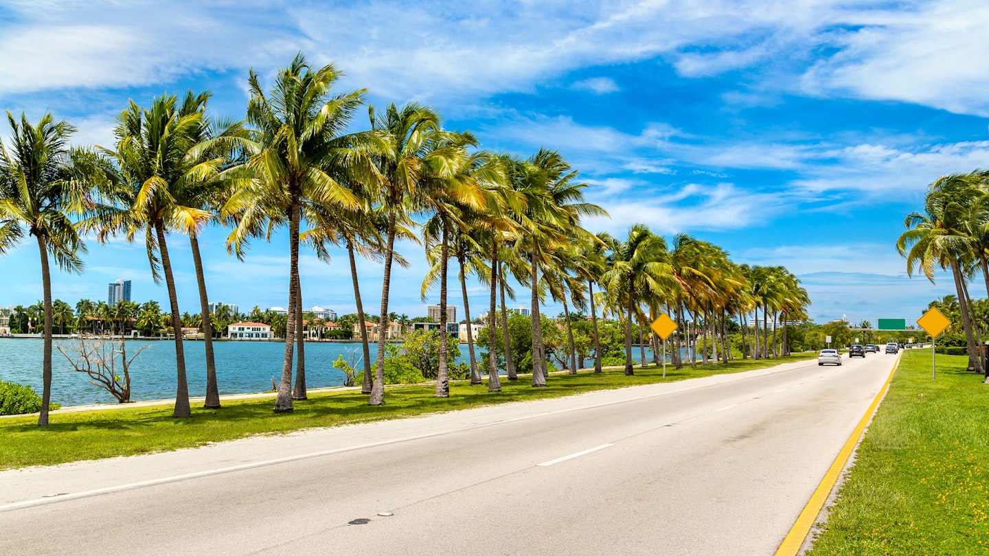 Palm trees and road in Miami Beach, Florida
1346099359
cloud
USA-Florida-Miami-bloodua-iStockGettyImagesPlus-1346099359-RF