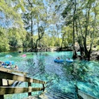 Tubers and swimmers float in the shallow clear aqua spring waters near Devil's Eye in the Devil's Run spring, Ginnie Springs, Florida
1498981596