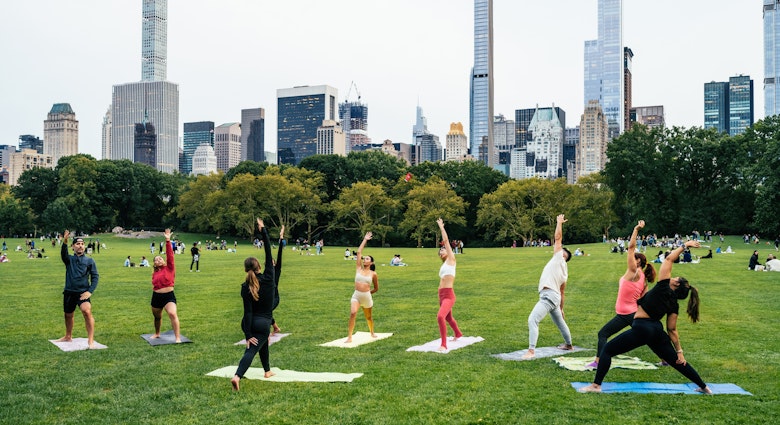 Exercising yoga in Central Park in NYC
1757324370
