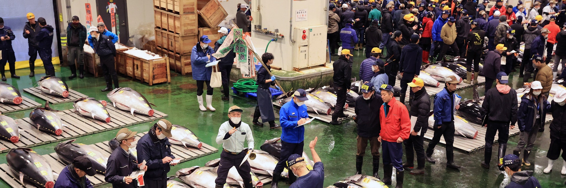 TOKYO, JAPAN - JANUARY 05: A general view of the first tuna auction of the New Year at Toyosu Wholesale Fish Market on January 5, 2024 in Tokyo, Japan. (Photo by The Asahi Shimbun via Getty Images)
1908408787
