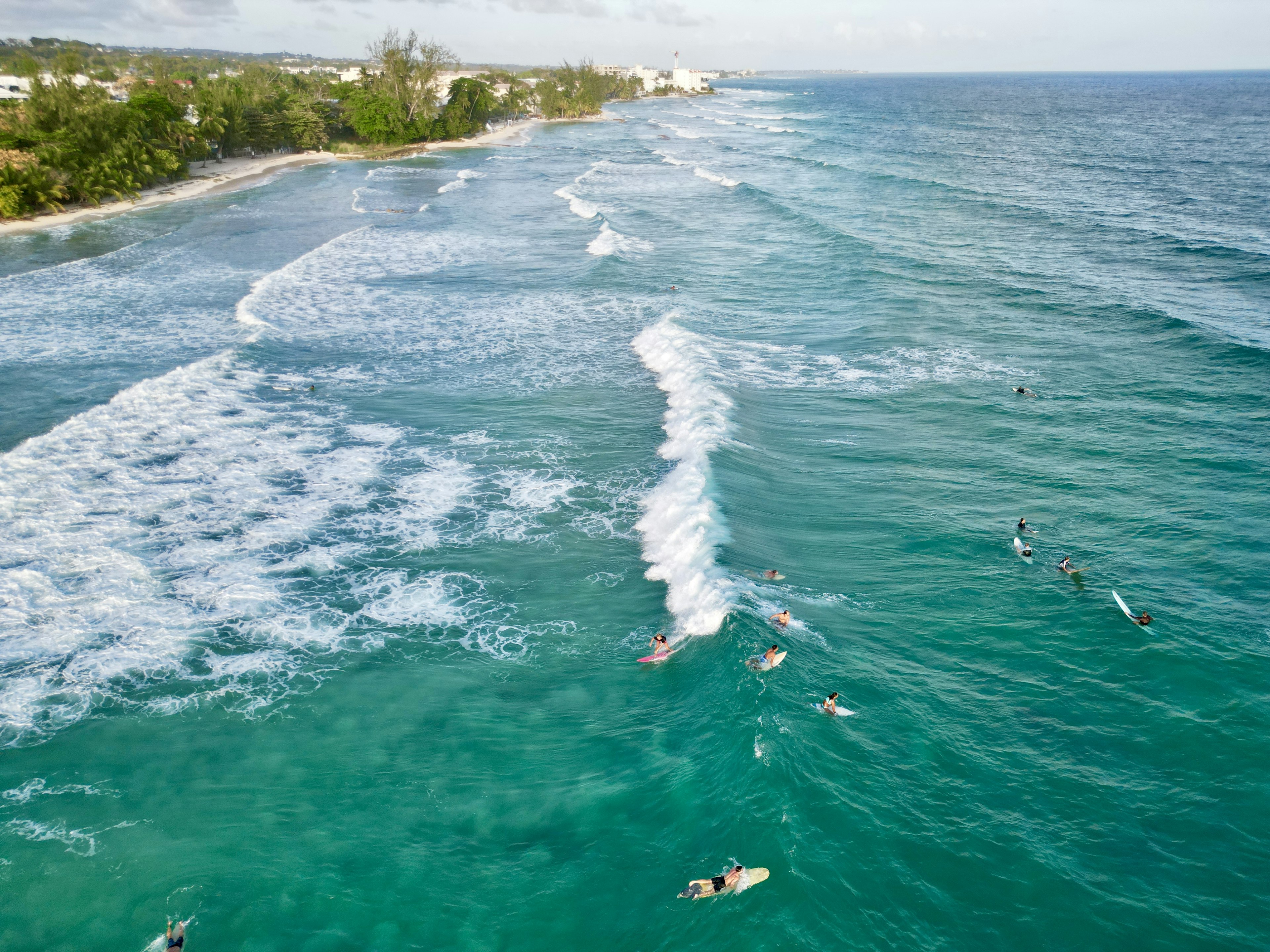 Surfing in Barbados