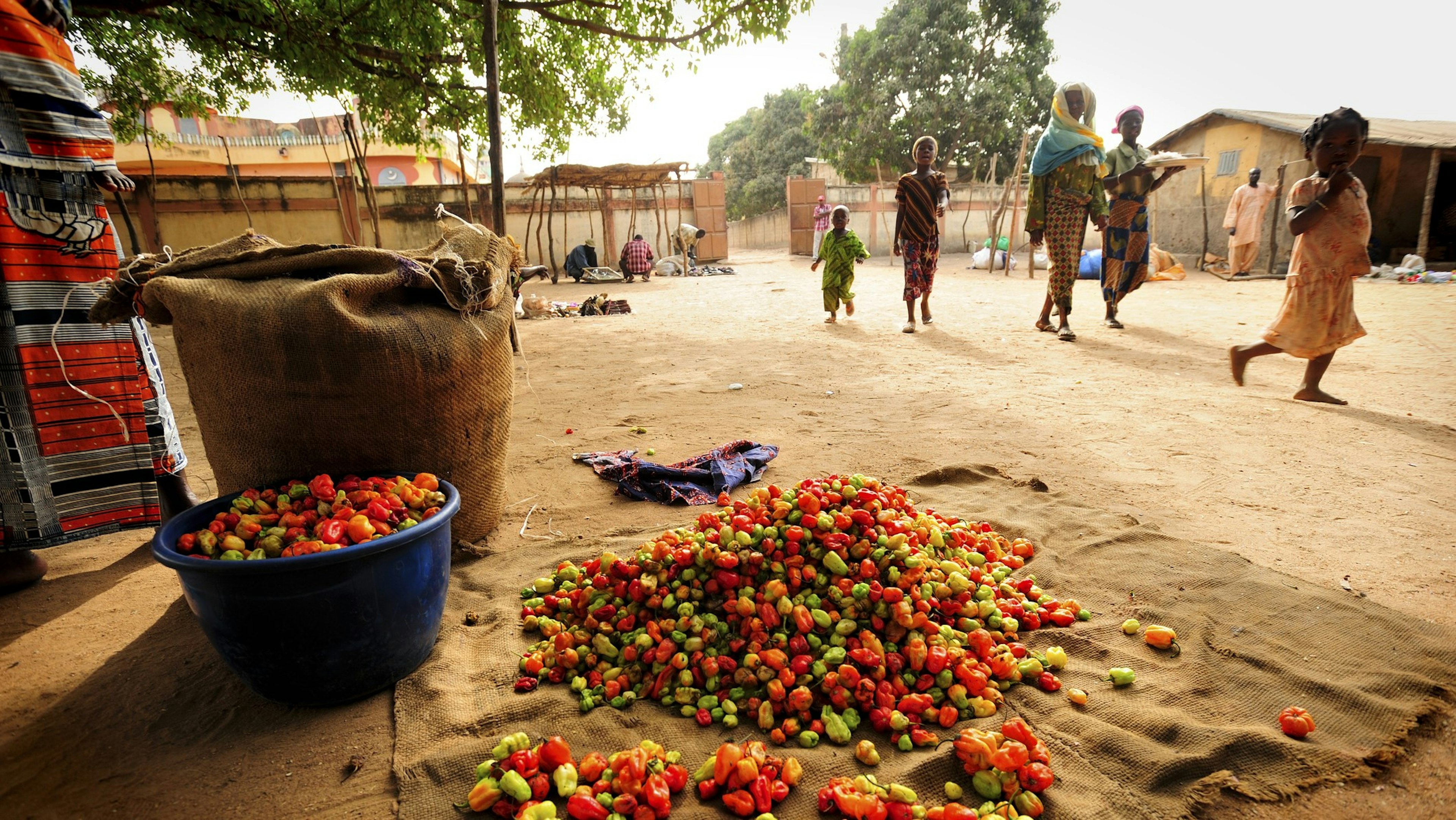 People walk past a market stall selling fruit