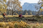Biking in Yosemite below Half Dome
953999792
yosemite, active lifestyle