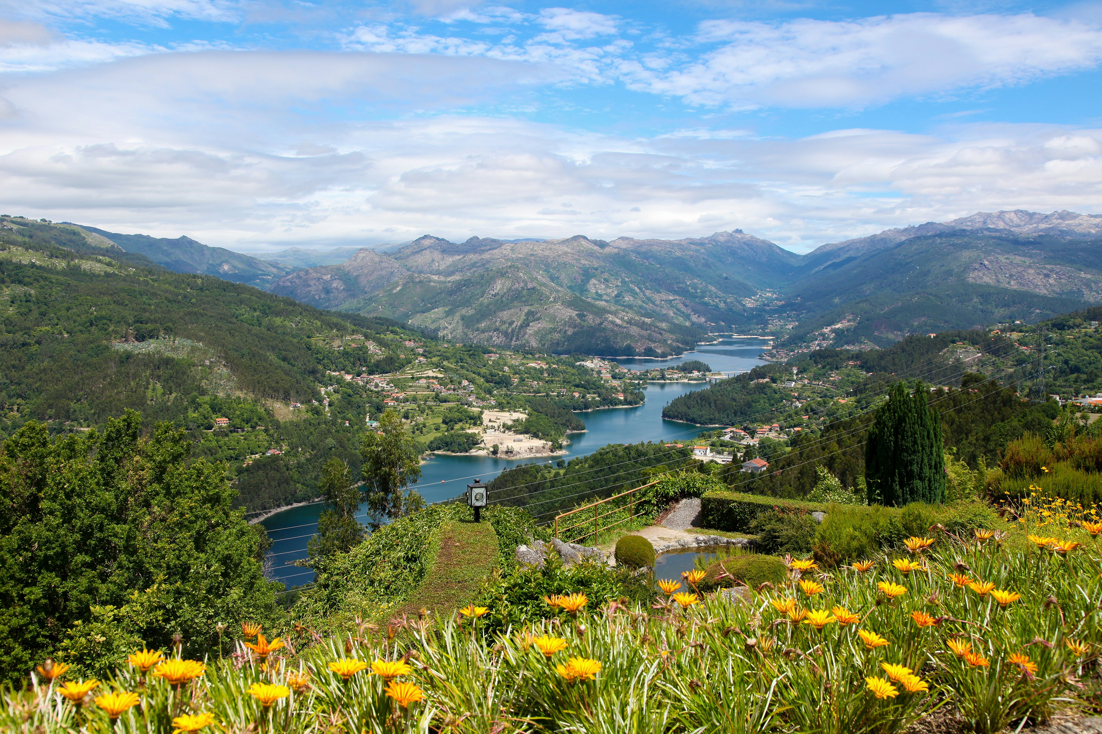 A wildflower-covered hillside gives way to a lake and distant mountain range