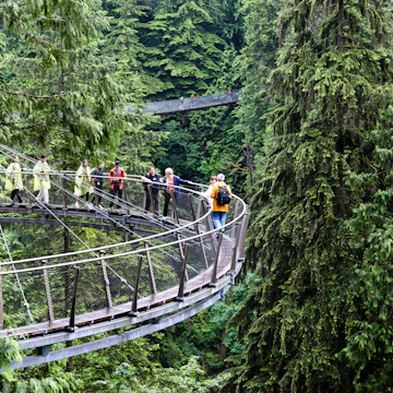 June 29, 2011: Visitors explore the Capilano Cliff Walk through rainforest vegetation. The cantilevered and suspended walkways jut out from the granite cliff face 230 metres above the Capilano River.
510655579
Deep, Hanging, Crossing Bridge, Walking, Tourist, Plant, Granite - Rock, Cliff Walk, Crossing, Anticipation, Travel, Vancouver - Canada, Valley, Bridge, Outdoors, Vancouver, Capilano, Park, Rainforest, Vacations, Forest, Rock, Canada, Adventure, North Vancouver, Woodland, Capilano Park, Suspension Bridge, Horizontal, Scenics - Nature, Bridge - Built Structure, Hill, Cliff, Tree, Suspended Bridge, District Of North Vancouver, Rock - Object, British Columbia, Bridge Crossing, Summer, Photography, Mountain, North America, Public Park, Capilano Suspension Bridge