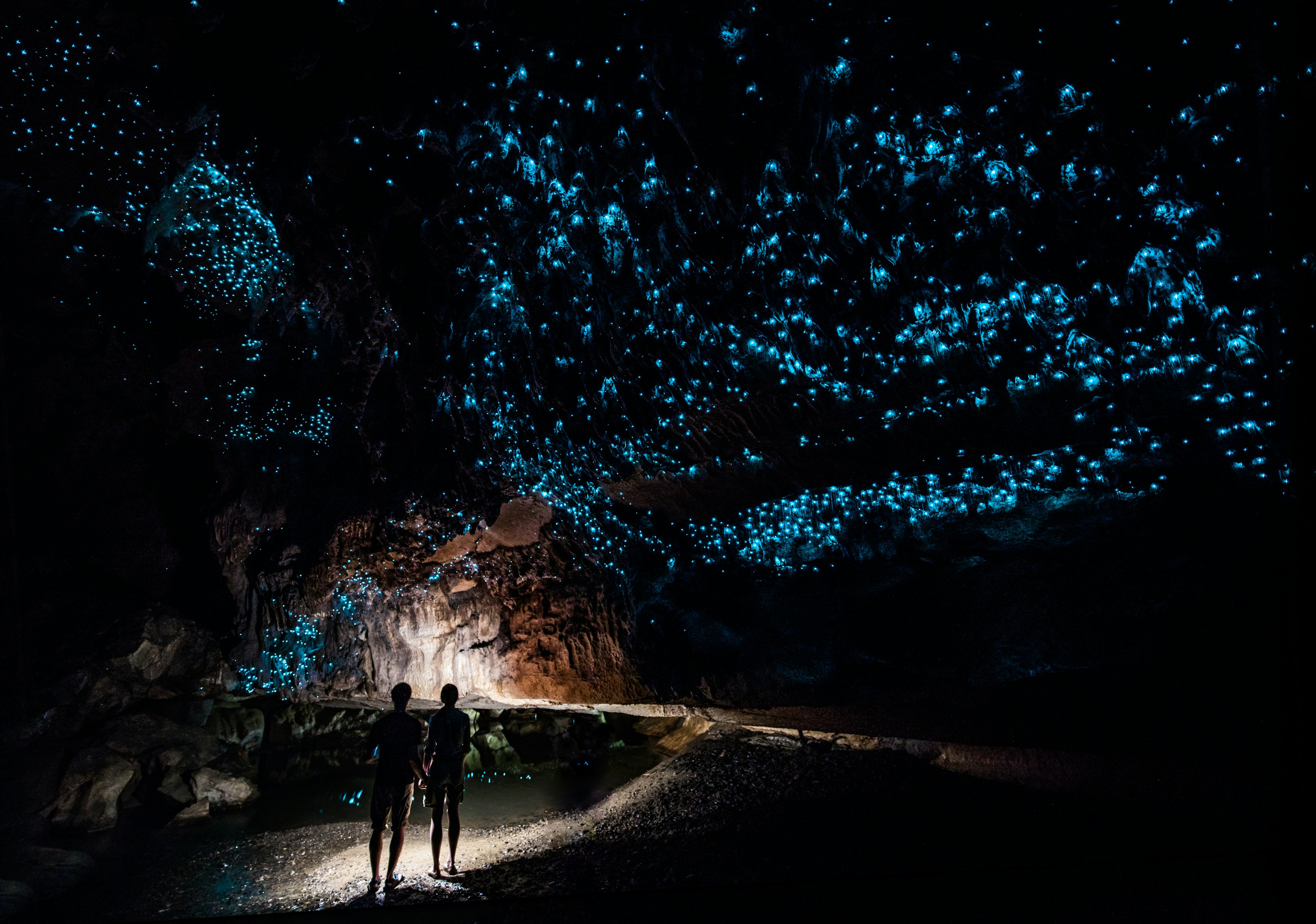 Admire the glowworm lights in New Zealand's Waitomo Caves