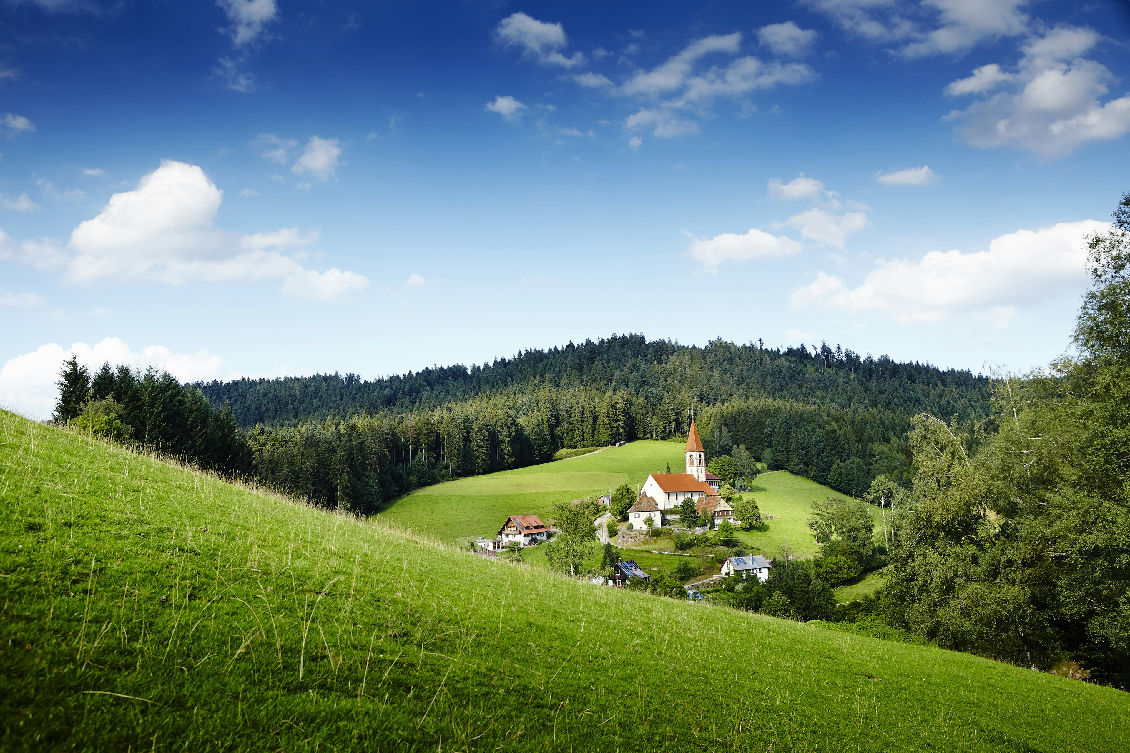 Beautiful landscapes in Black Forest National Park