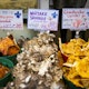 Issue 64, Quebec, The Perfect Trip, Lonely Planet Traveller Magazine
Mushroom stall at Marche Jean-Talon market.