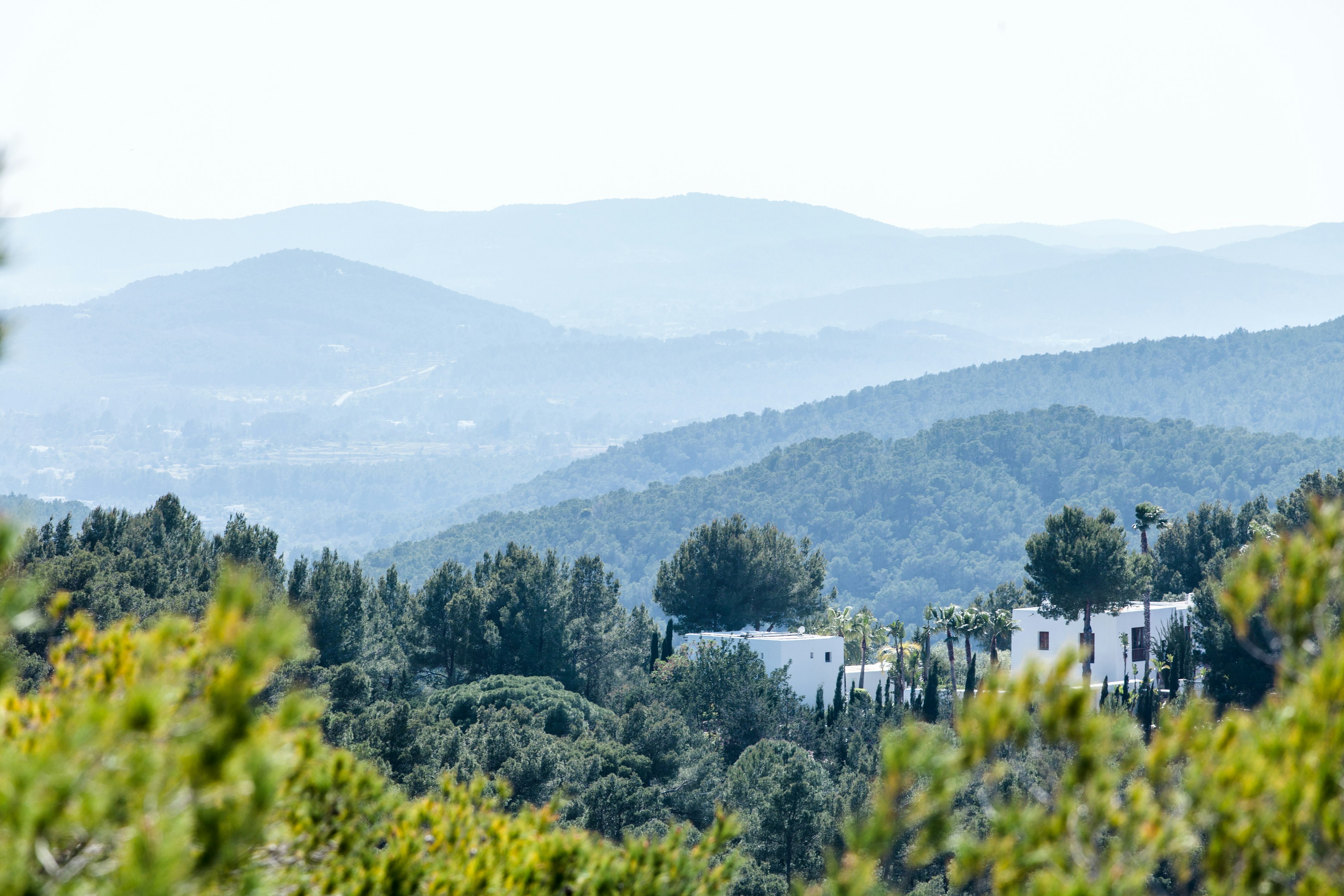 Green rolling hills dotted with white low-rise buildings