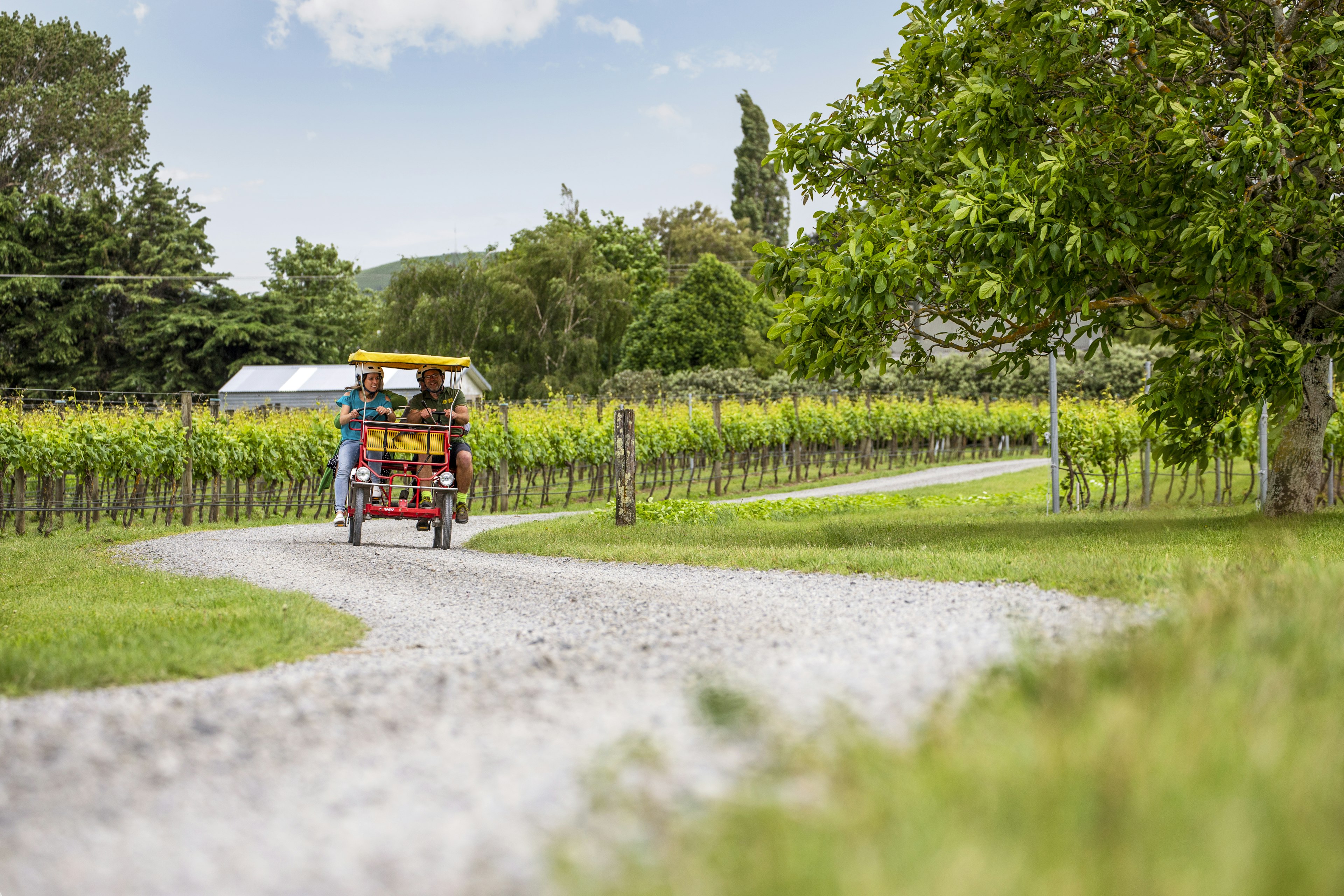 Martinborough---Have-You-Ever---Camilla-Rutherford-RM.jpg