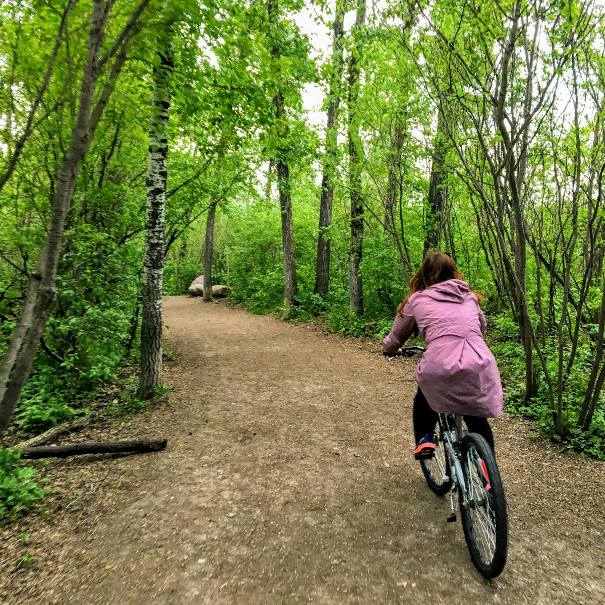 A photo of a woman enjoying a nice bike ride through the forest on a beautiful spring evening in the river valley of Edmonton, Alberta, Canada.
1238818056
active, alone, beautiful, bike, biking, cycle, cyclist, exploring, female, girl, healthy, leisure, lifestyle, outdoor, park, path, person, photo, pretty, quiet, ride, river valley, scenery, scenic, trail, trees, woman, young
