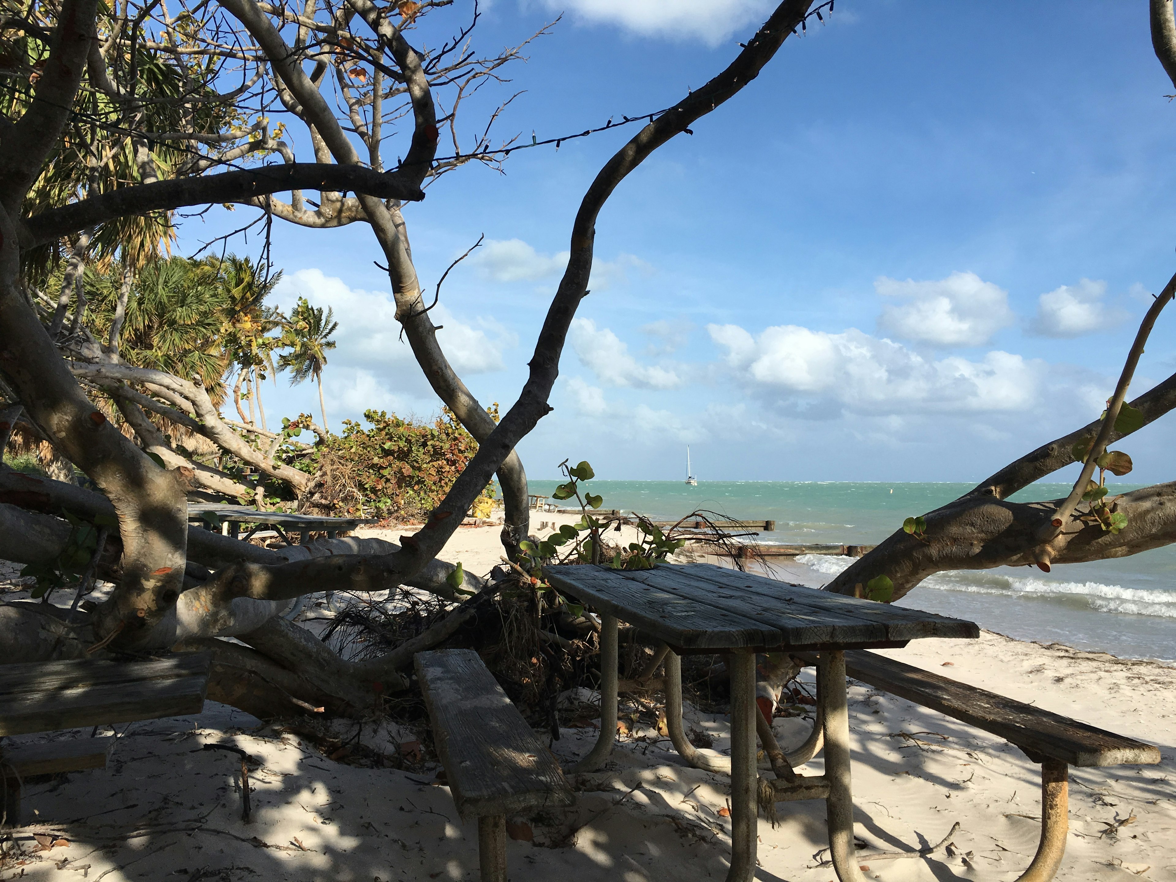 Aerial view of Historic Virginia Key Beach Park