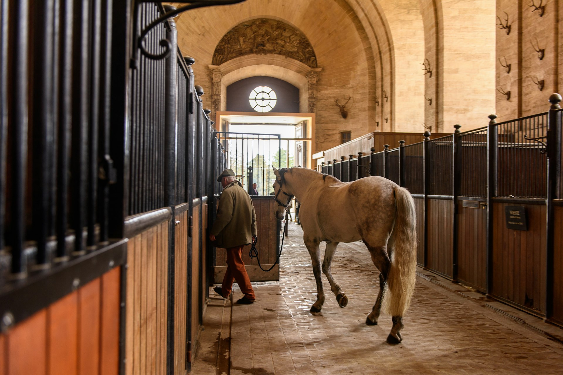A horse in the Grandes Écuries of Château de Chantilly, Chantilly, Île de France, France