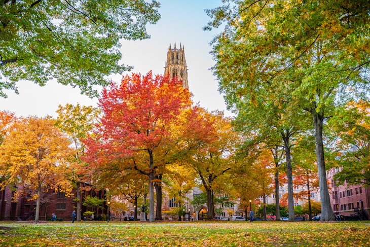 New Haven travel - Lonely Planet