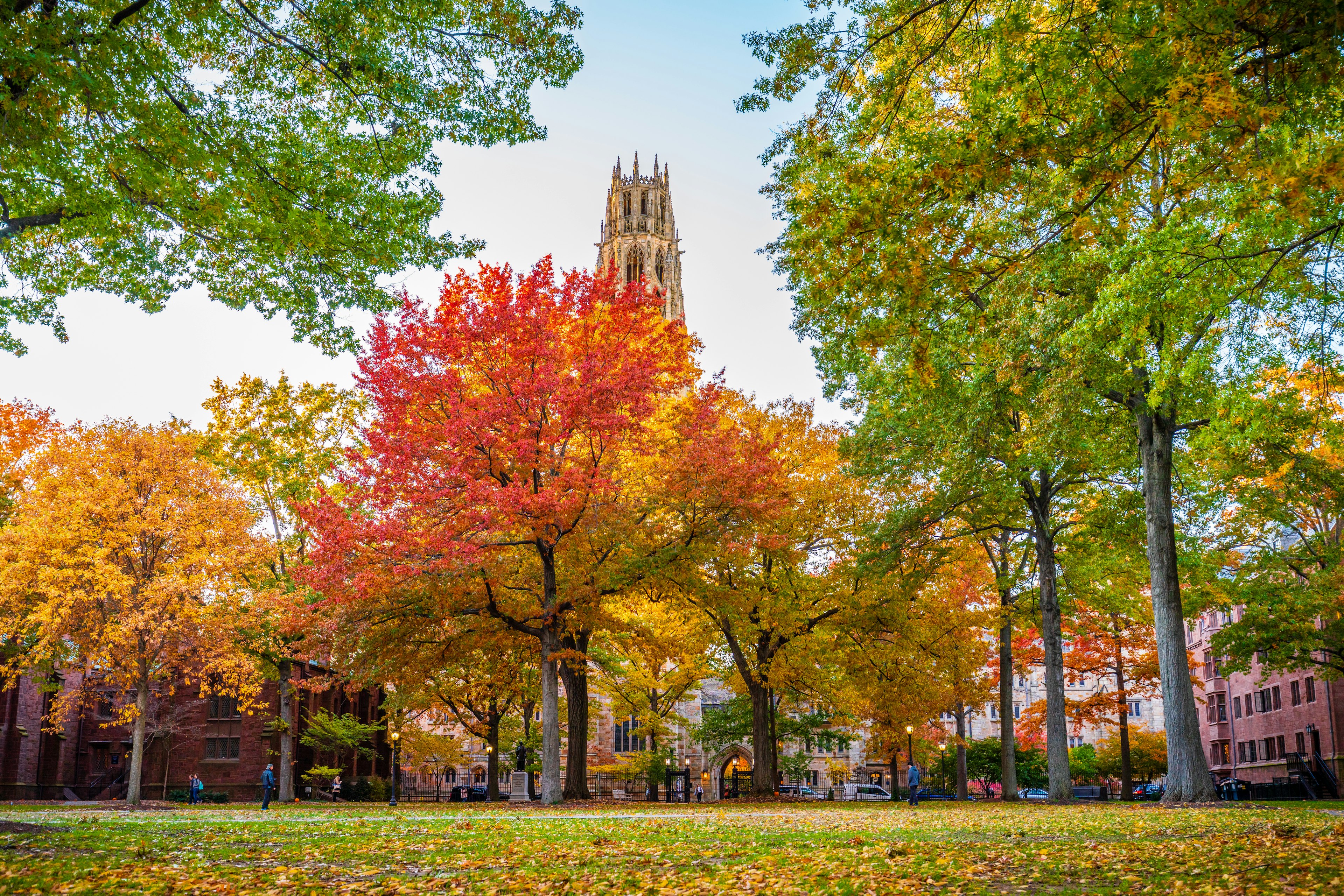 Beautiful fall colors on Old Campus at Yale University