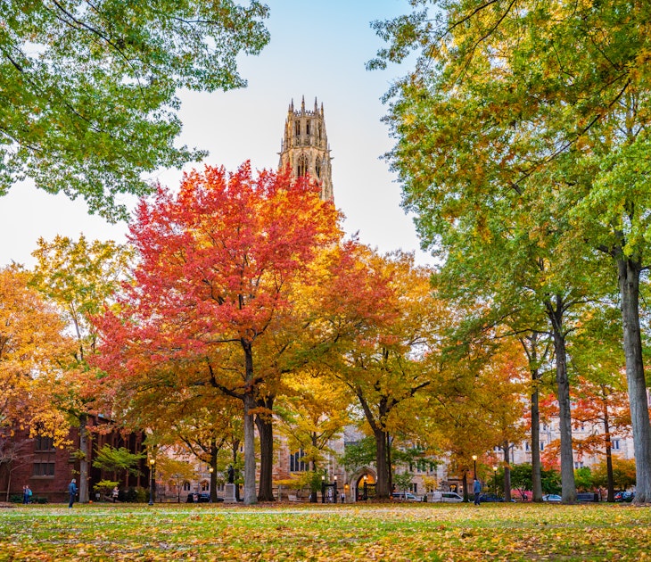 NEW HAVEN, CT, USA - NOVEMBER 3, 2018: Beautiful fall colors on Old Campus at Yale University on November 3, 2018.; Shutterstock ID 1687080625; GL: 65050; netsuite: Online editorial; full: Copy my trip: New Haven; name: Ann Douglas Lott
1687080625