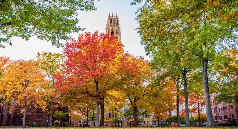 NEW HAVEN, CT, USA - NOVEMBER 3, 2018: Beautiful fall colors on Old Campus at Yale University on November 3, 2018.; Shutterstock ID 1687080625; GL: 65050; netsuite: Online editorial; full: Copy my trip: New Haven; name: Ann Douglas Lott
1687080625