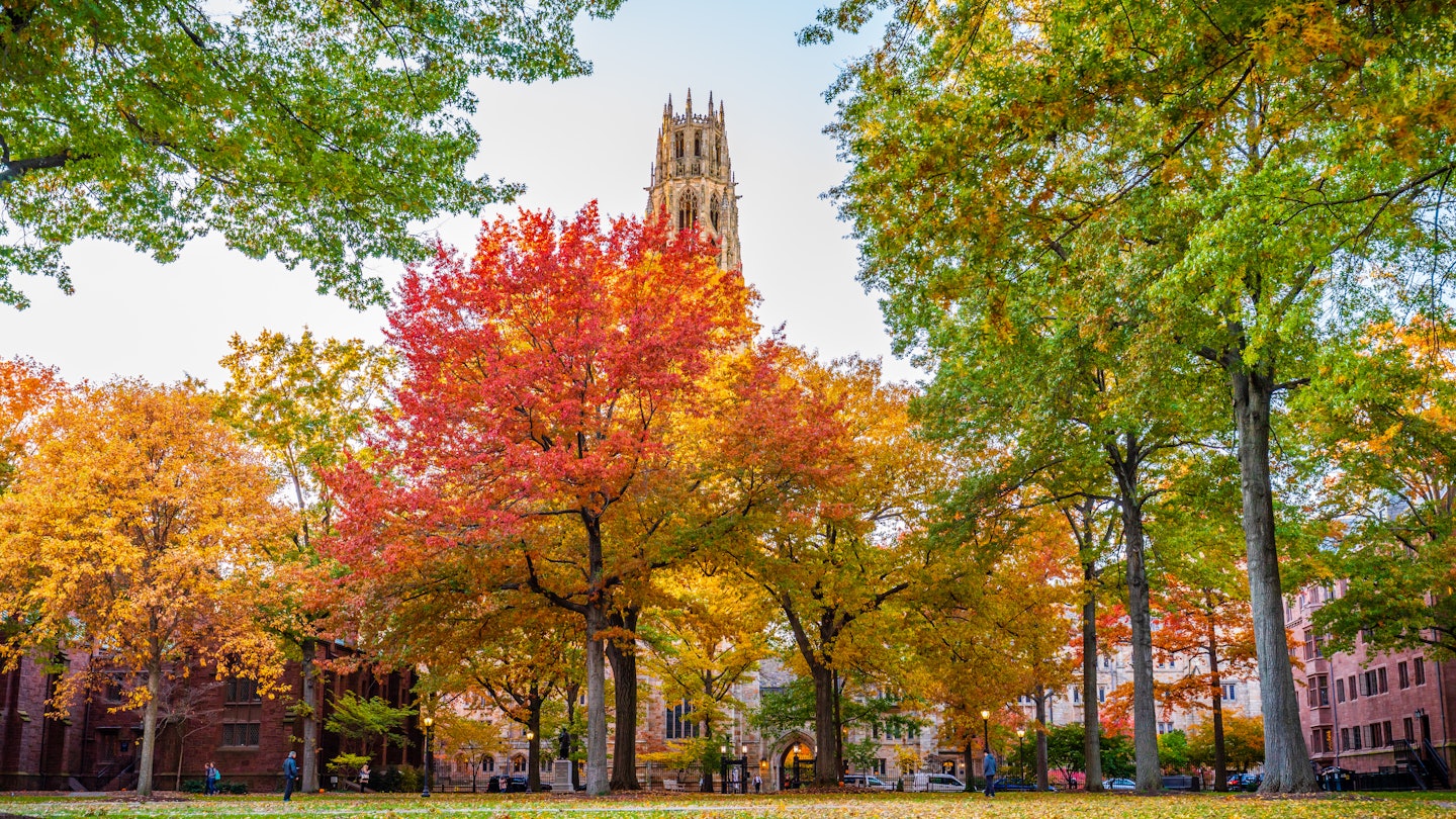 NEW HAVEN, CT, USA - NOVEMBER 3, 2018: Beautiful fall colors on Old Campus at Yale University on November 3, 2018.; Shutterstock ID 1687080625; GL: 65050; netsuite: Online editorial; full: Copy my trip: New Haven; name: Ann Douglas Lott
1687080625