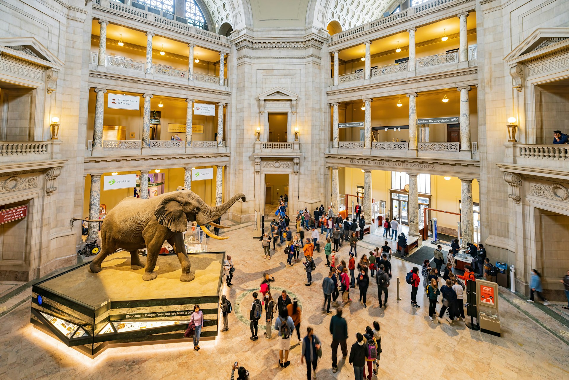 People walk around the mammoth statue in the main atrium of the Natural History Museum in DC
