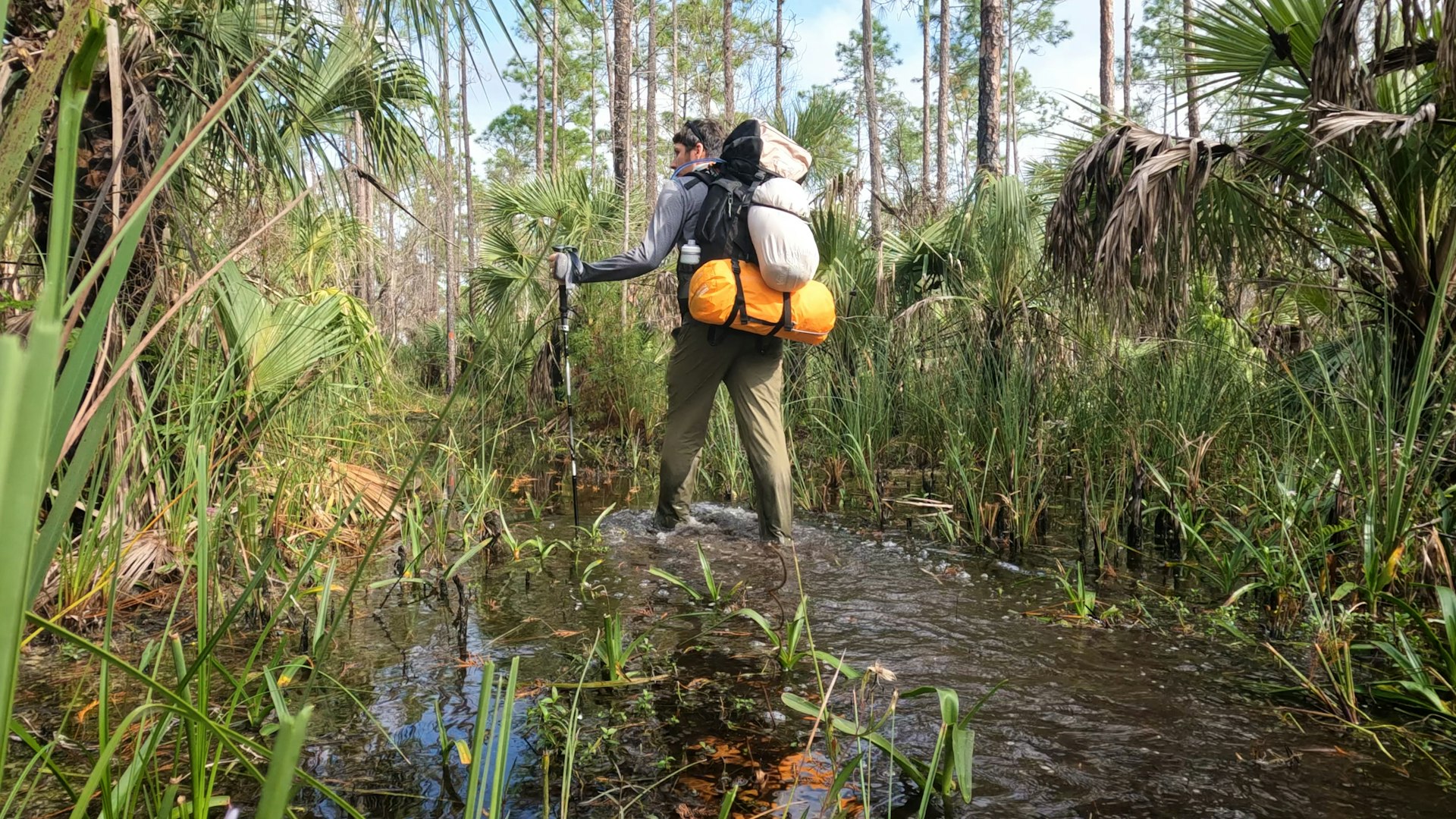 A man wades through water as he hikes the Florida National Scenic Trail, Big Cypress Nature Preserve, Florida, USA