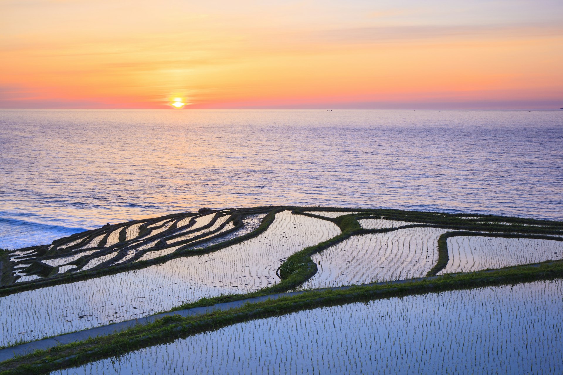 Rice terraces at sunset, Shiroyone Senmaida, Ishikawa, Japan