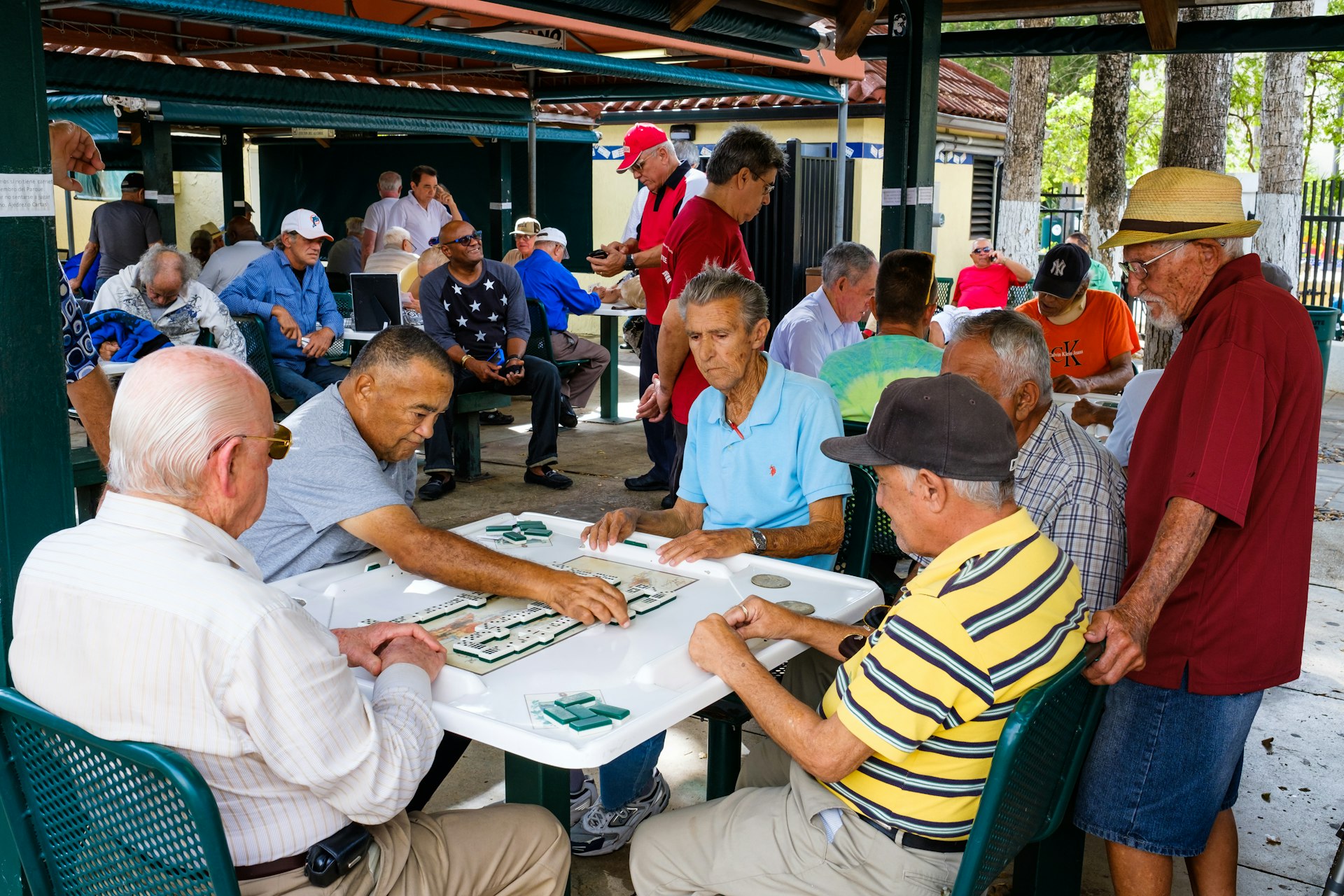 A group of older men play dominos in Domino Park, Little Havana, Miami, Florida, USA
