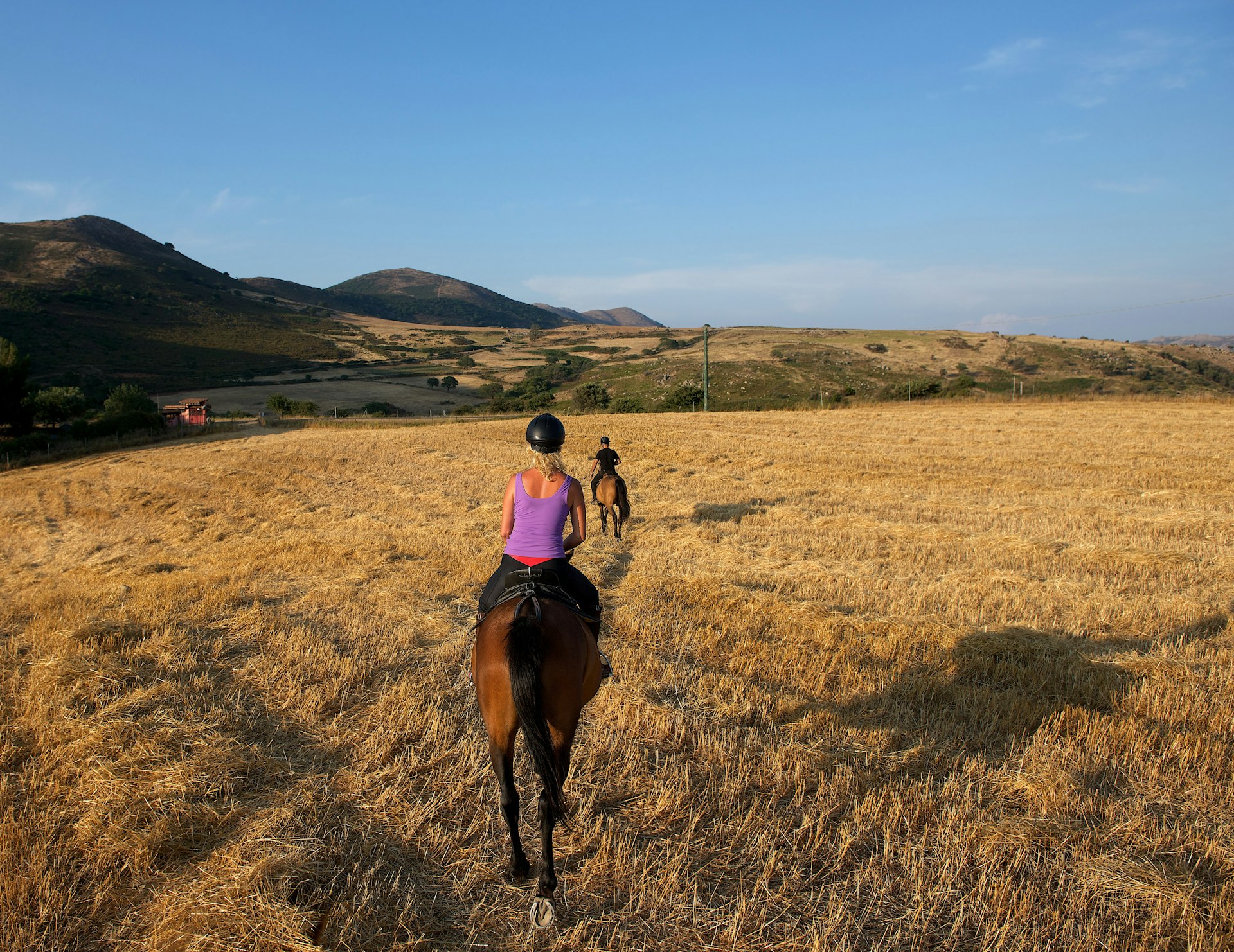 Young woman and a man riding horses in the Sardinian countryside during sunset.