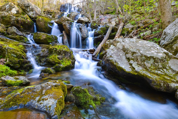 In less than two hours you can go from the bustling streets of DC to the wilds of Dark Hollow Falls at Shenandoah National Park.
