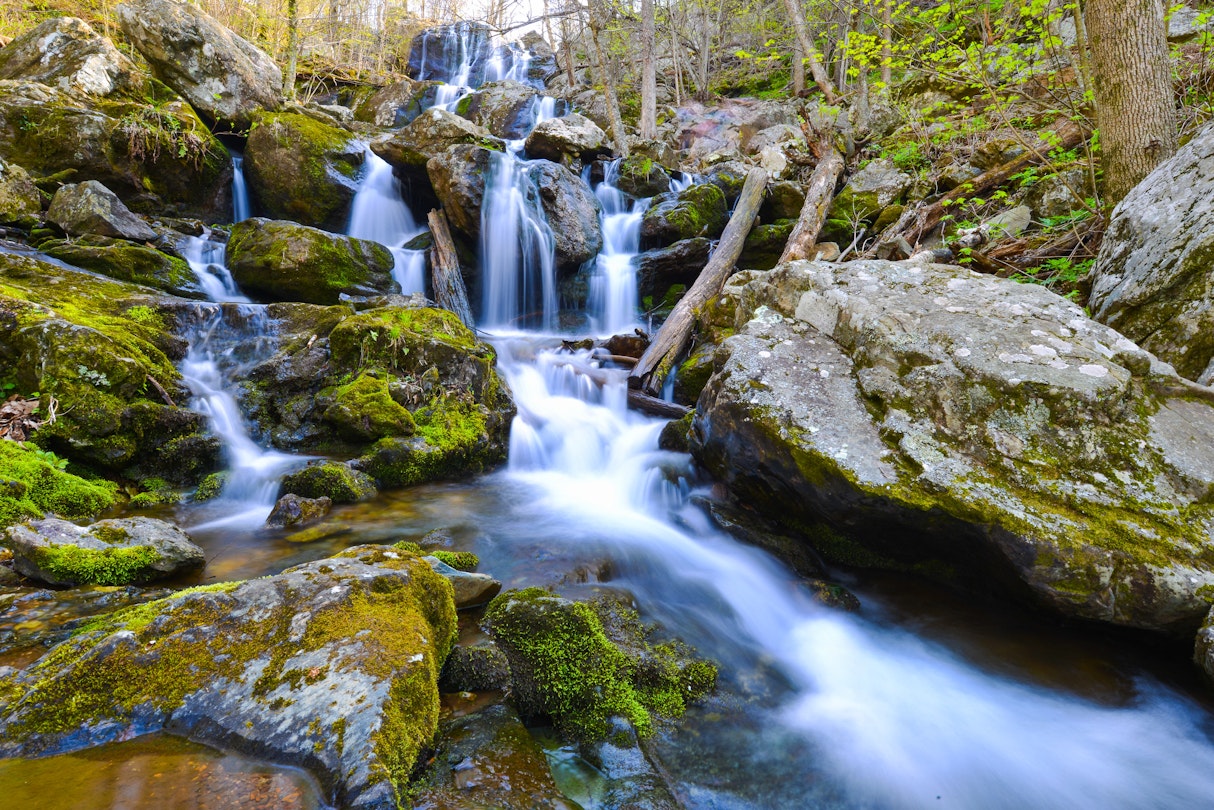 In less than two hours you can go from the bustling streets of DC to the wilds of Dark Hollow Falls at Shenandoah National Park.

