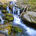 In less than two hours you can go from the bustling streets of DC to the wilds of Dark Hollow Falls at Shenandoah National Park.