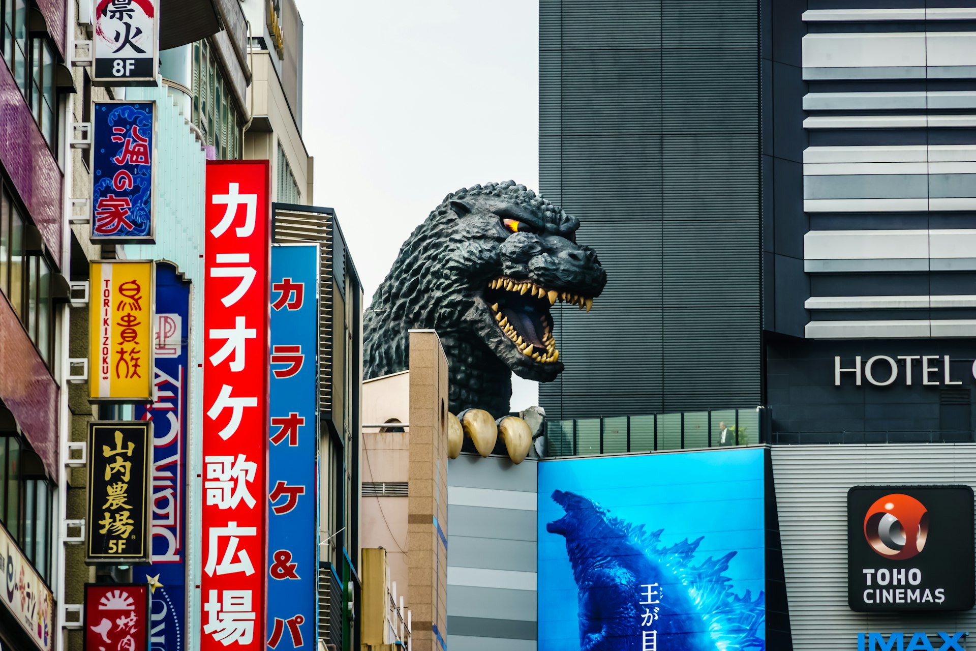 A huge animatronic Godzilla head on top of a building in Shinjuku, Tokyo, with colourful street signs in the foreground