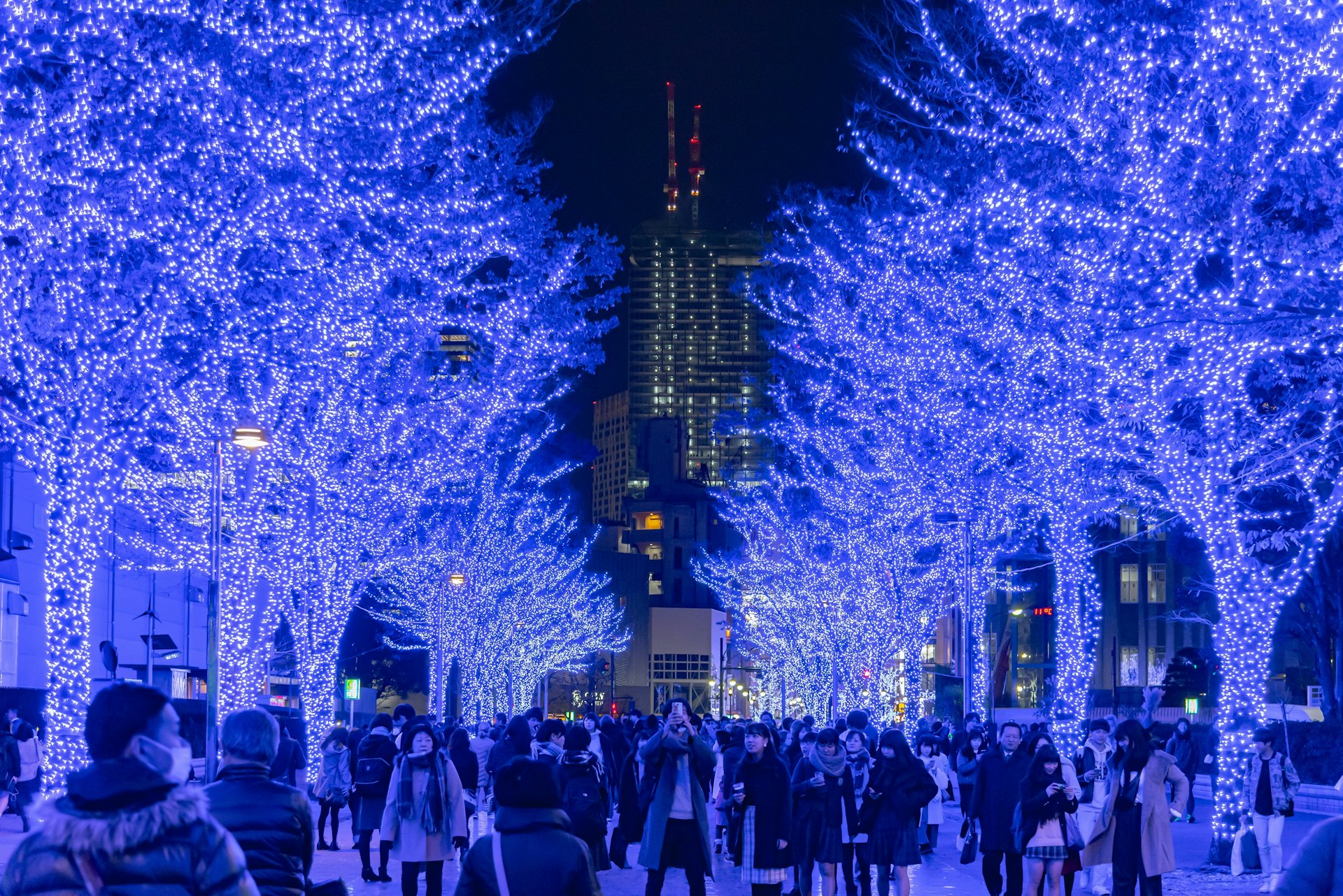 Hundreds of people walk between trees decorated with tiny blue lights in Shibuya, Tokyo 