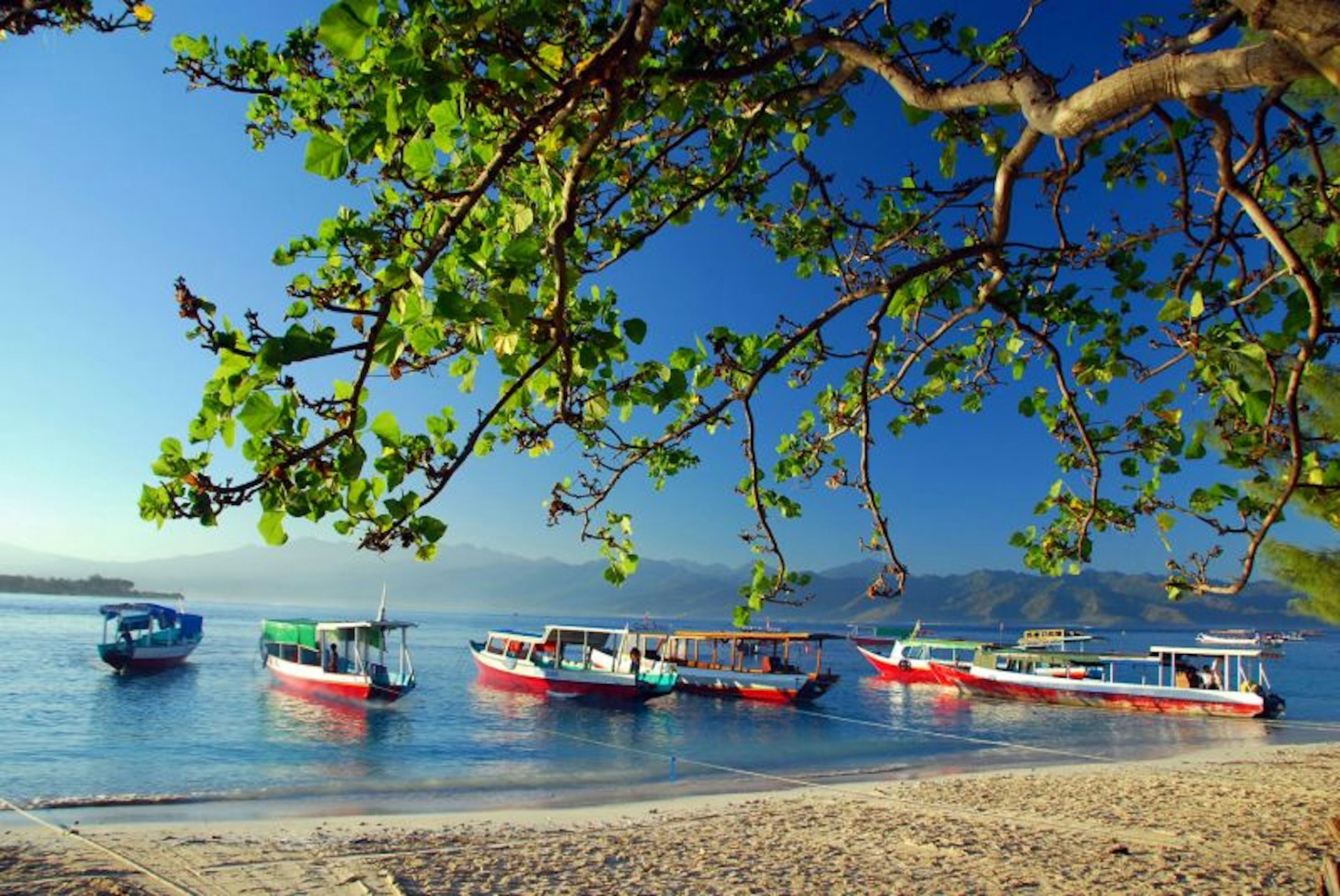 Boats moored at a still beach in Gili Trawangan in Indonesia