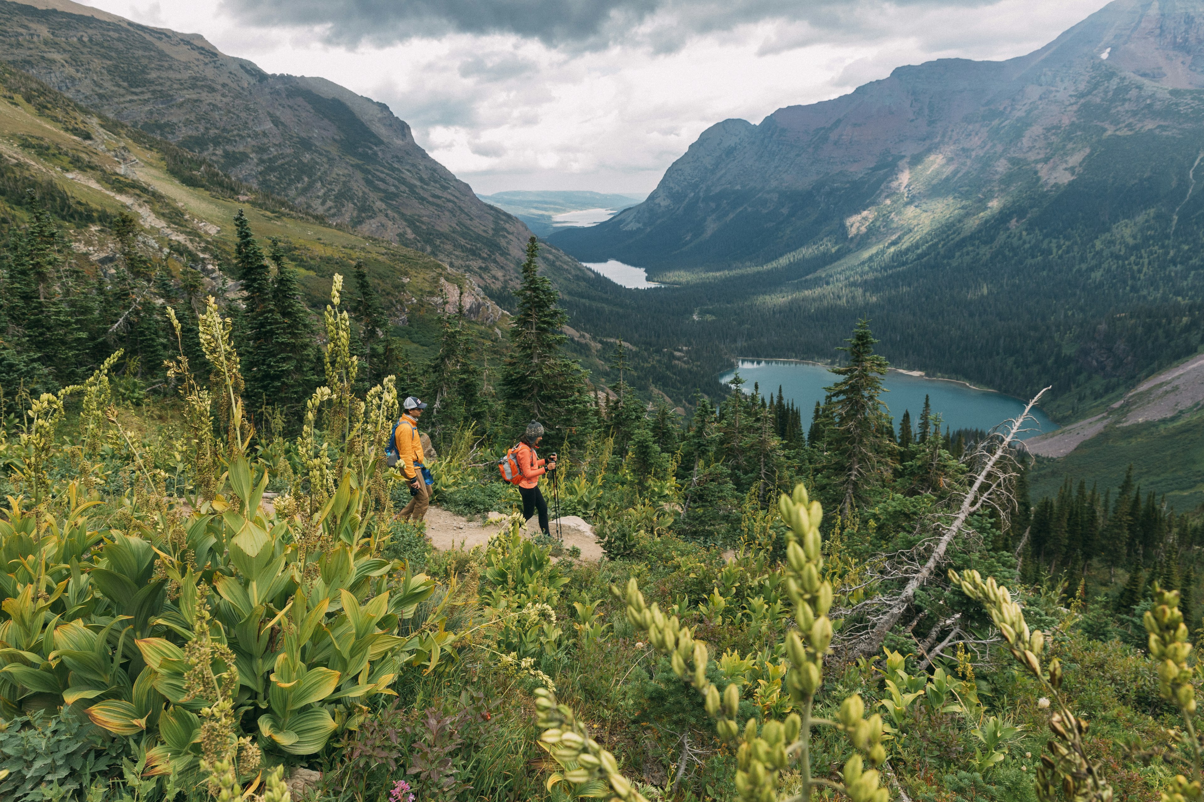 Two hikers follow a path through thick undergrowth downhill towards a lake