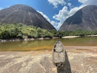 Egerton-Colombia-Rainforest.jpg