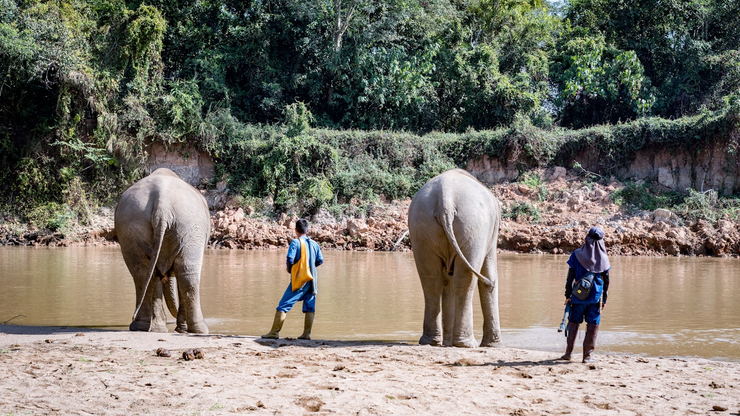 Elephant with Mahouts at Anantara Golden Triangle