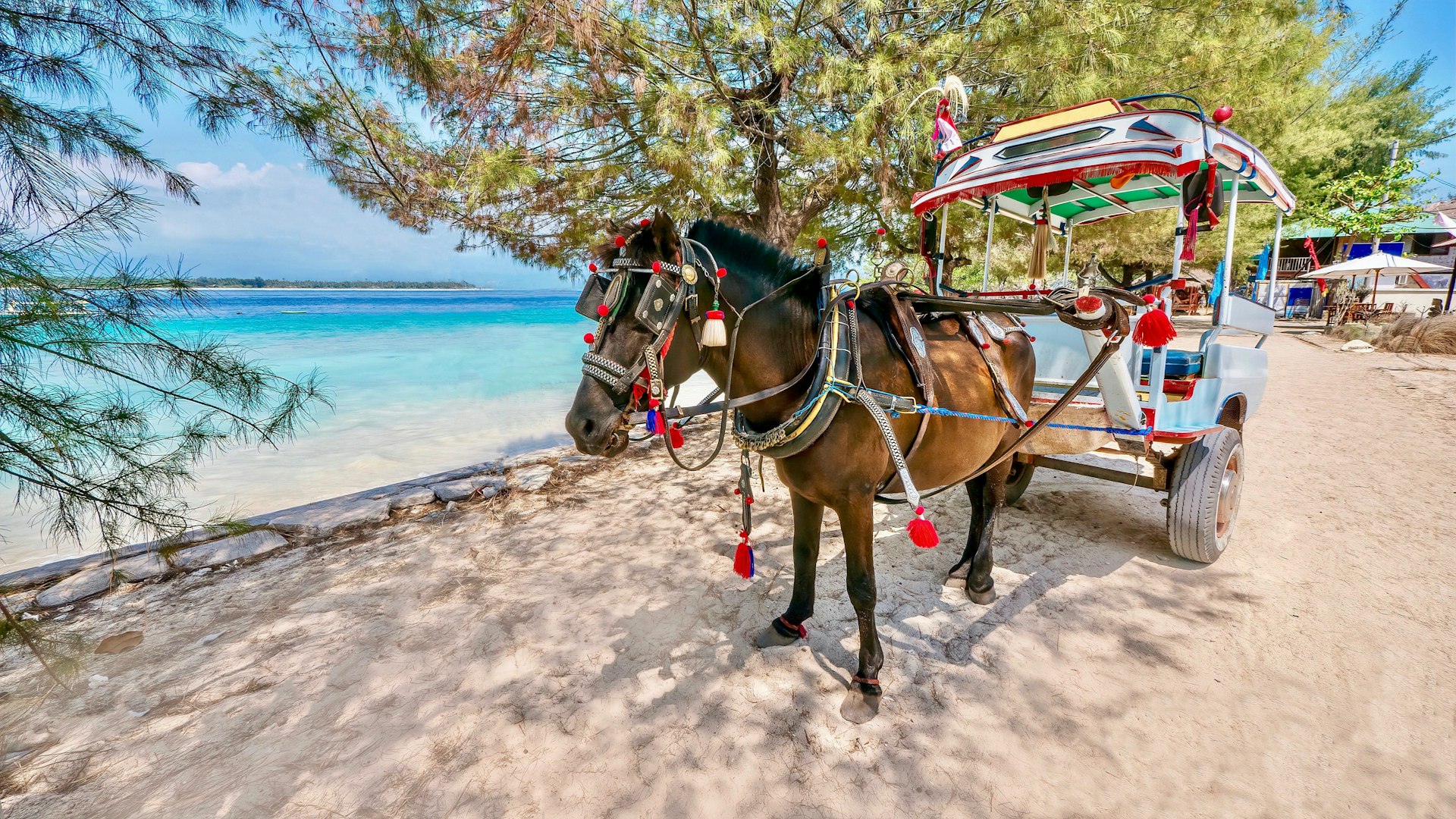 A decorated horse and buggy known as a cidomo on the Gili Islands